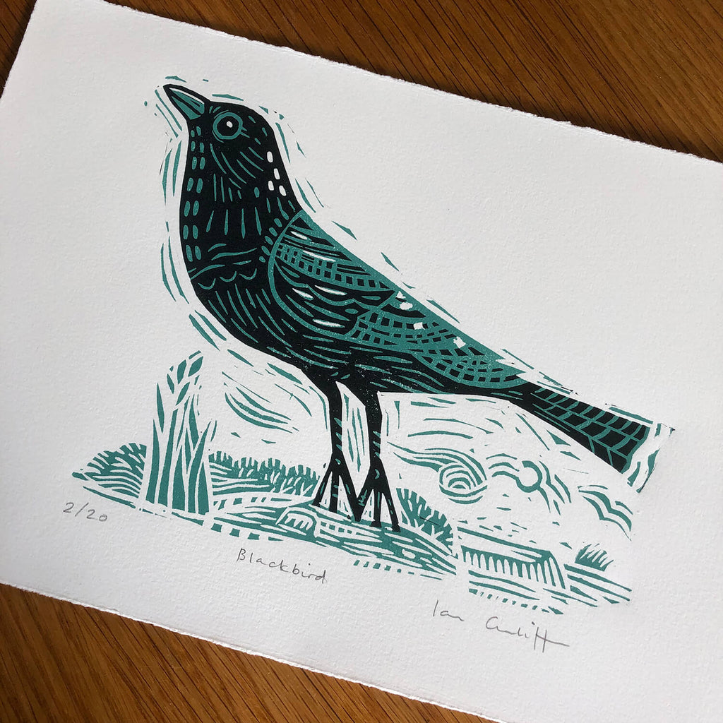blackbird illustration on Somerset paper