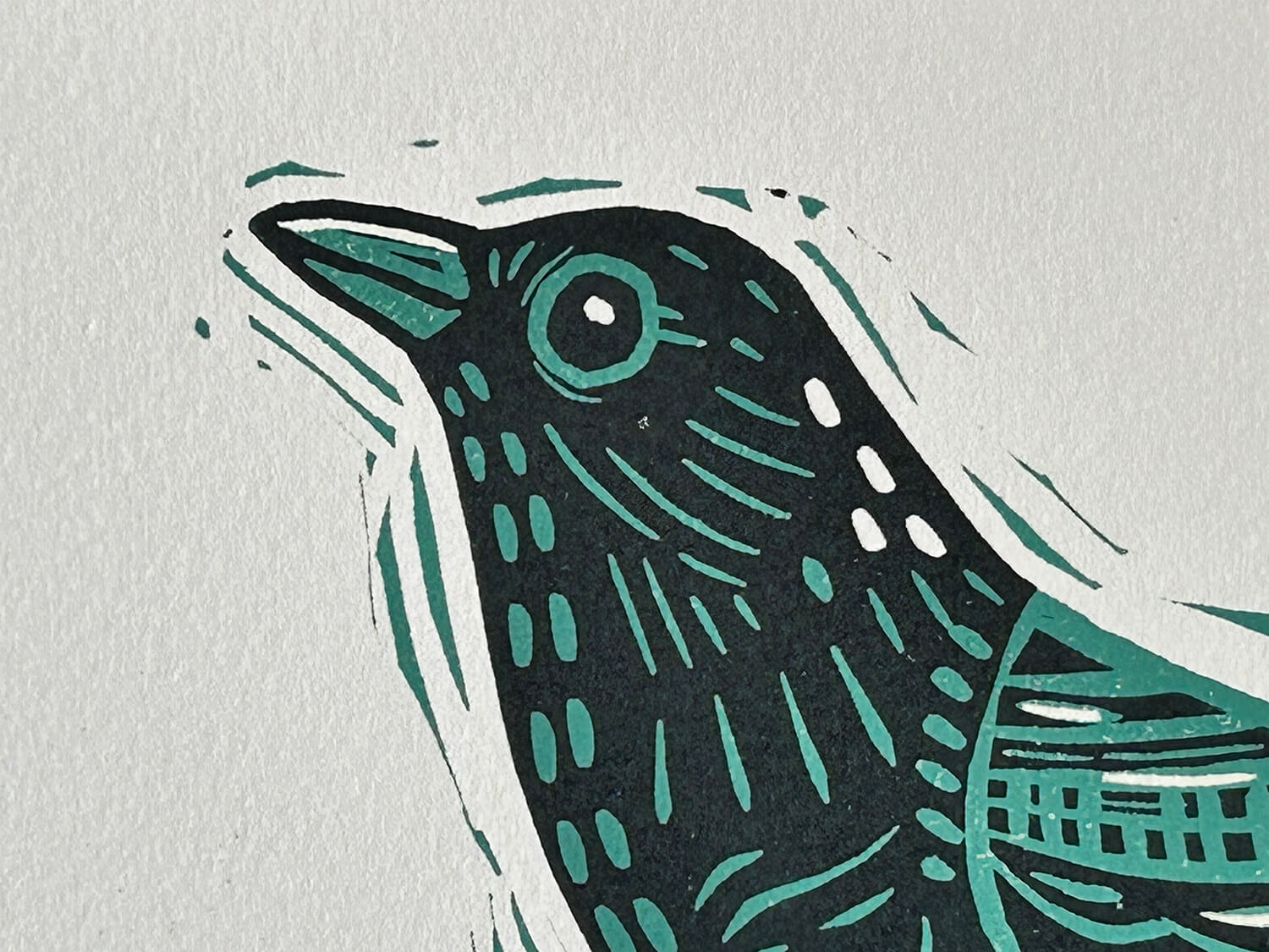 Illustration of a bird with teal and black details on a light gray background