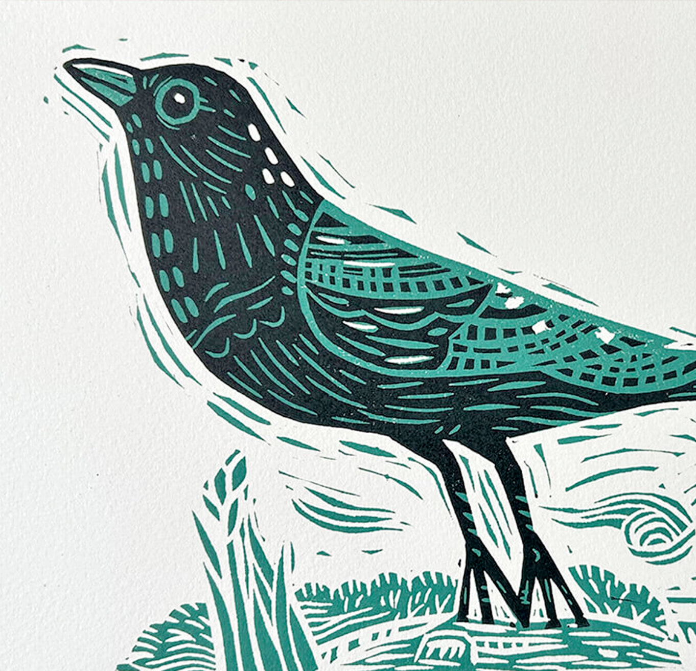 Blackbird perched on branch, hand-carved linocut print with delicate linework and rich tonal contrast
