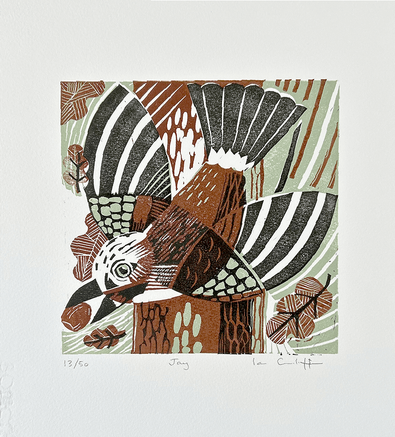 Signed jay linocut print showing detailed hand-carved linework and layered printing technique