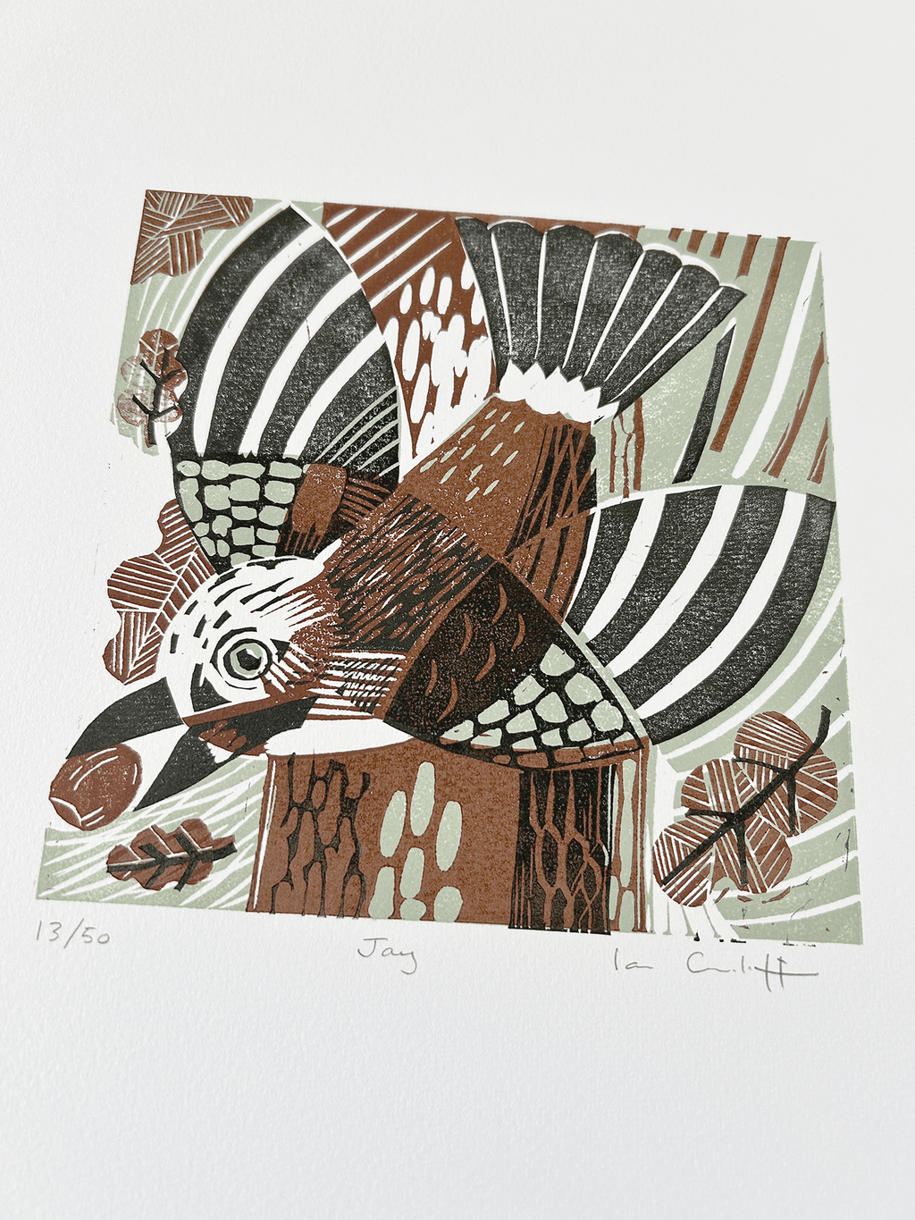 Jay linocut print detail showing hand-carved texture and printmaking technique