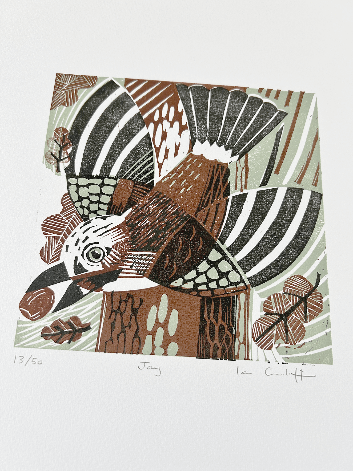 Jay linocut print detail showing hand-carved texture and printmaking technique