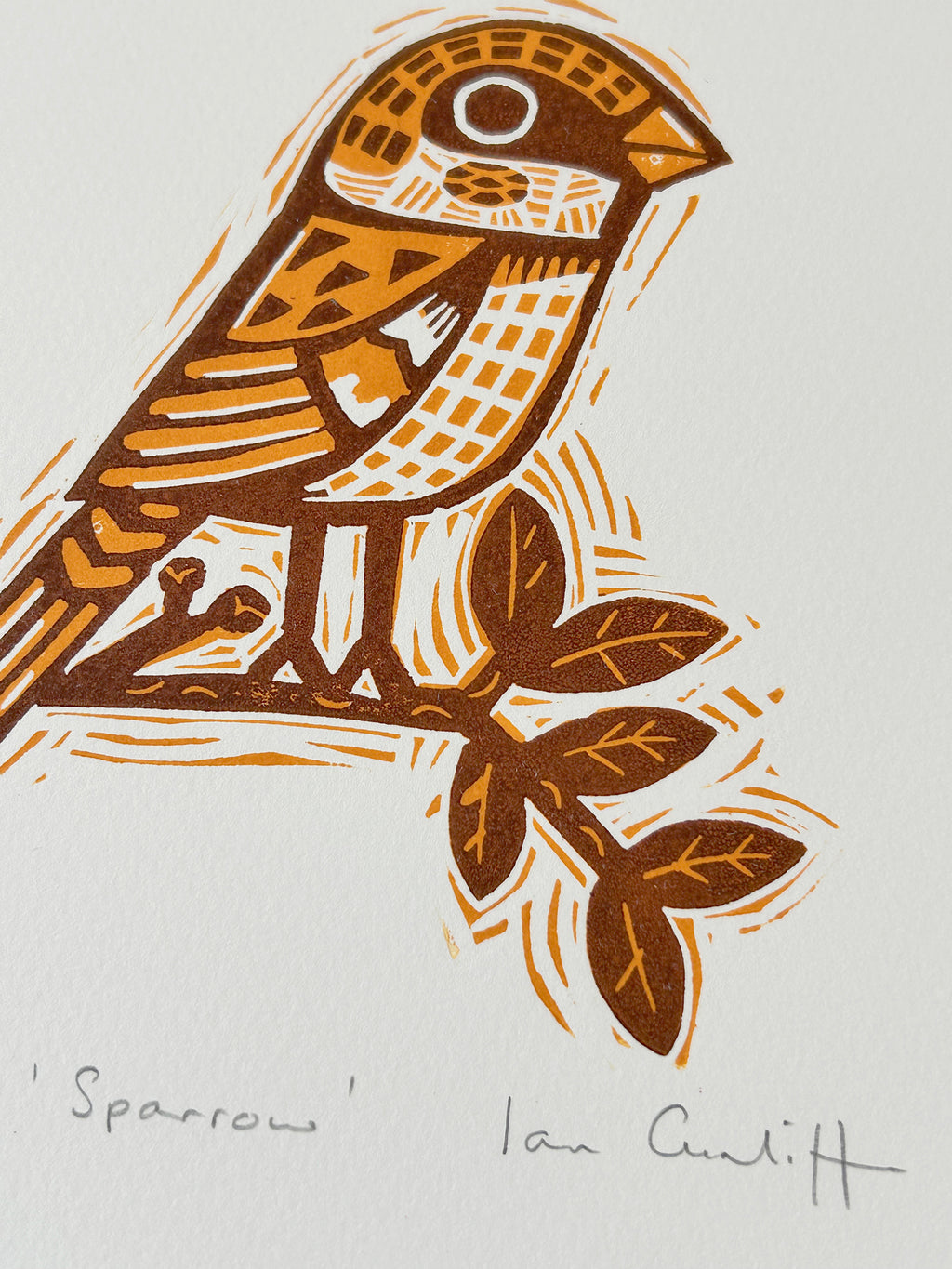 Sparrow linocut illustration showing hand-carved linework and natural textures