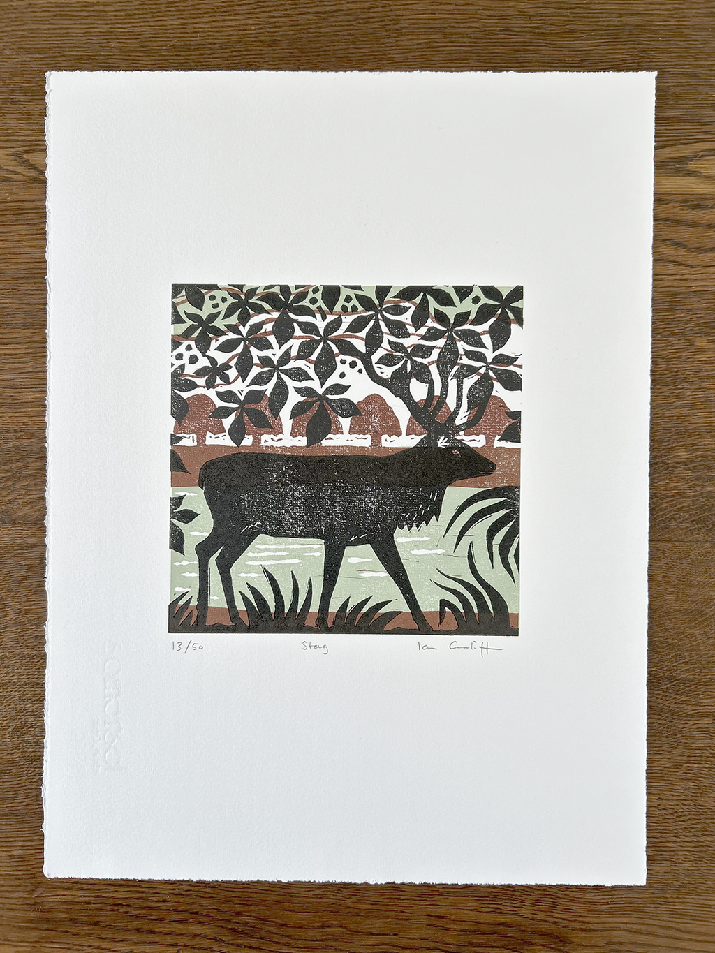Print of deer in a forest scene on a white background