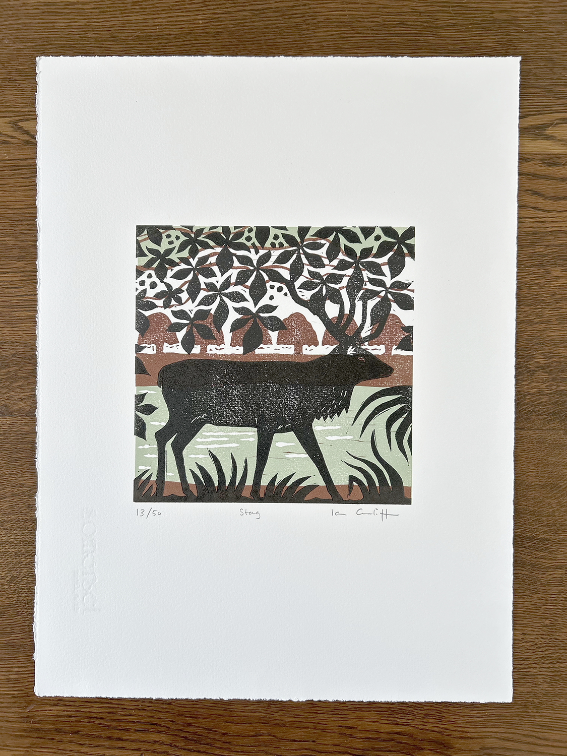 Print of deer in a forest scene on a white background