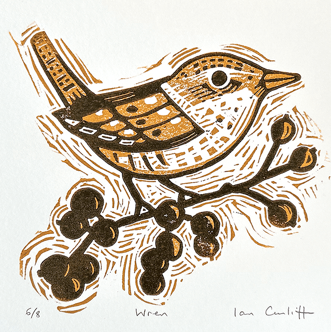 Woodcut-style illustration of a wren with a branch on a white background