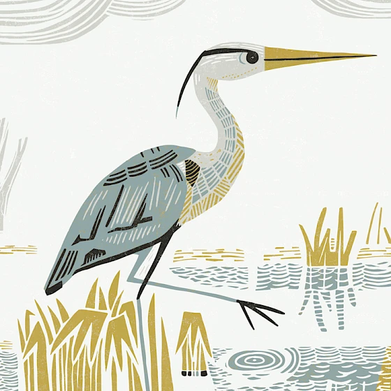 Illustration of a heron in a natural setting with grass and water patterns on a light background. Greeting card