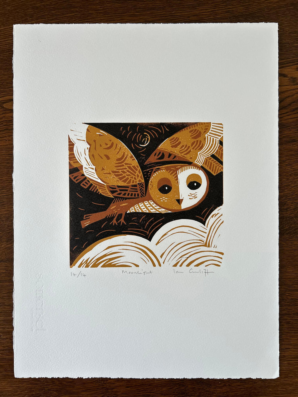 Woodcut-style illustration of an owl on a white background