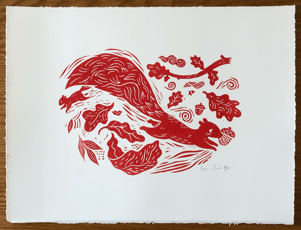 Red squirrel linocut print for sale