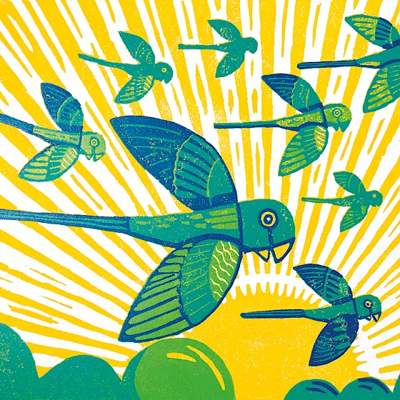 Illustration of blue and green parakeets on a yellow background